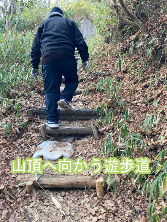 山頂に向かう遊歩道