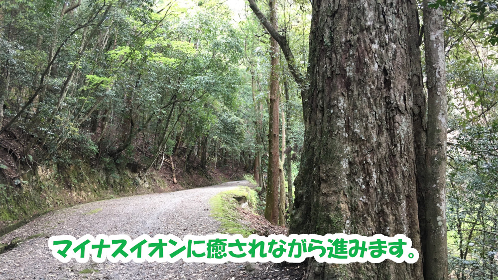 奈良県・春日山遊歩道
