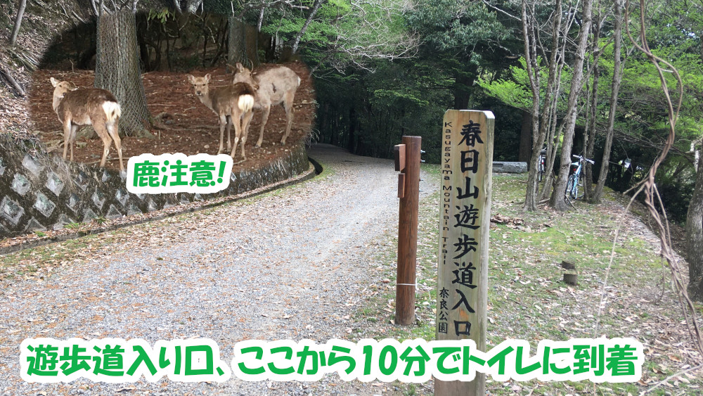 奈良県・春日山遊歩道入口